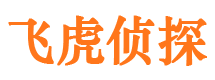 淇滨市私家侦探